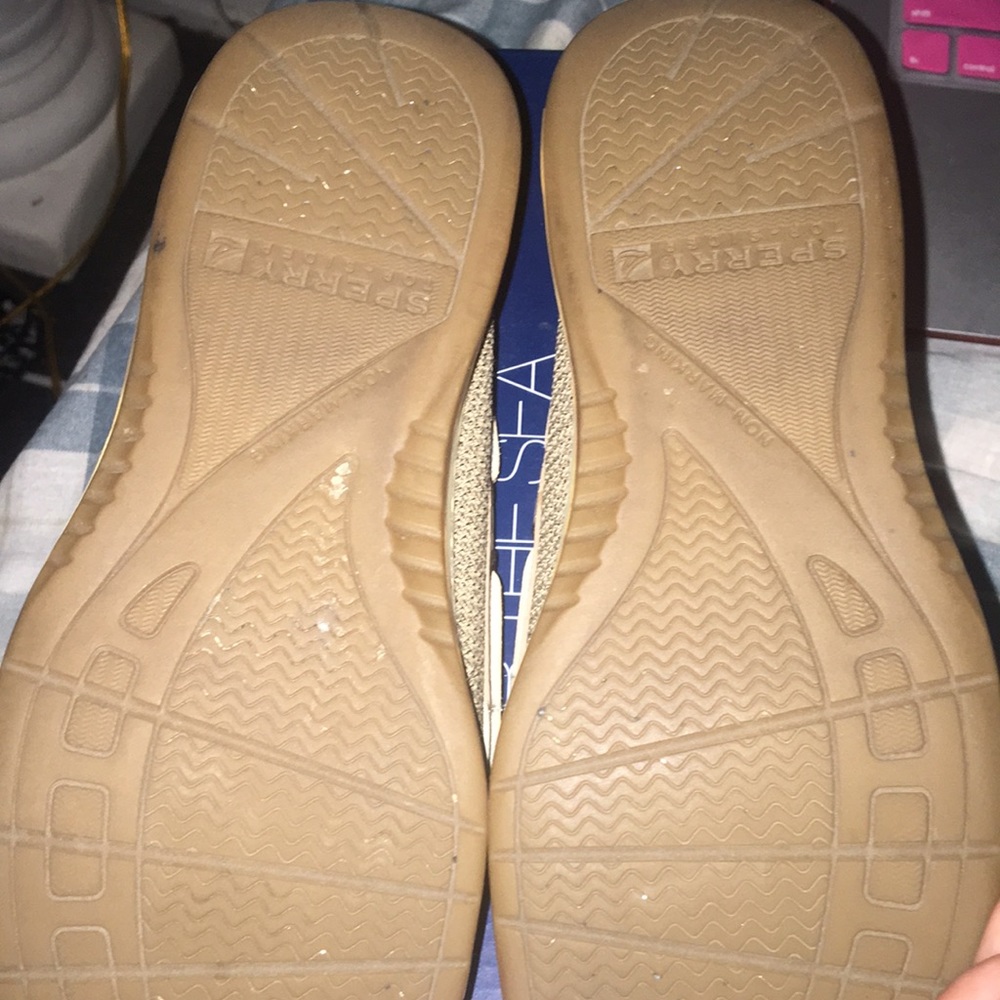 Sperry's angel fish (SEND OFFERS) - Picture 3 of 5
